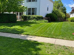 Thomas K.'s turf care service result