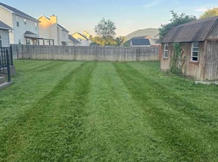 Lori H.'s lawn care services service result