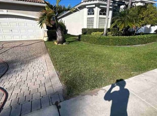 Mary W.'s lawn care services service result