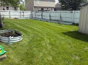 Phyllis C.'s lawn care service result