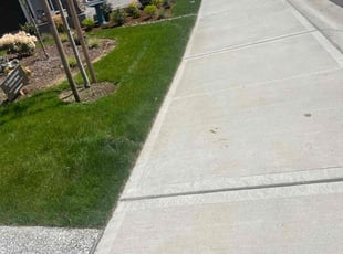 Aron C.'s lawn service service result