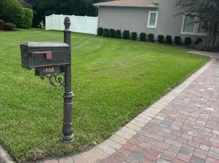 Shannon R.'s yard care service result