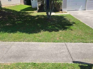 Melissa T.'s Bush Trimming service result