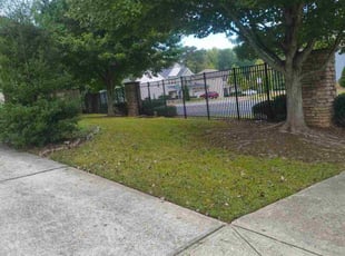 Stephen S.'s lawn service service result