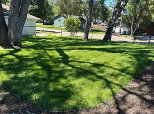 Matthew T.'s lawn maintenance service result