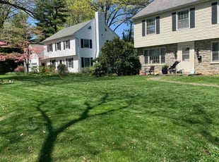 Michael L.'s grass maintenance service result