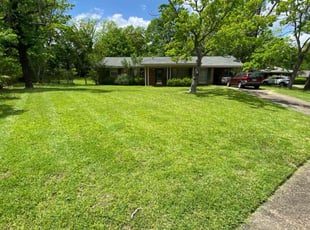 Jonathan W.'s lawn care service result