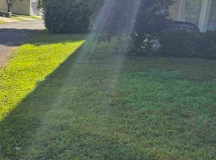 Robert B.'s grass maintenance service result