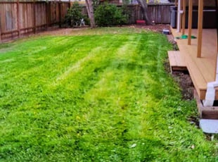 Kairee T.'s grass cutting service result