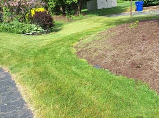 Timothy H.'s lawn care service result