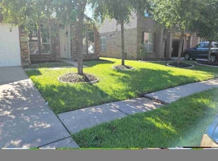 Patty S.'s grass cutting service result