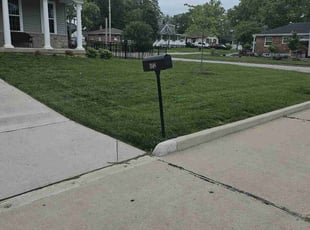 Janelle B.'s lawn care service result