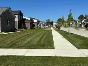 Daniel G.'s lawn care service result