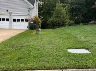KENNETH W.'s grass cutting service result