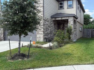 John N.'s lawn maintenance service result