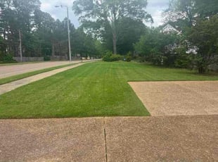 Lloyd T.'s turf maintenance service result