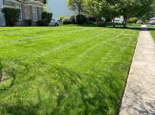 Zelda H.'s grass maintenance service result