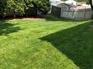 Natalie C.'s lawn care service result