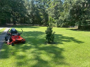 Rose O.'s turf maintenance service result