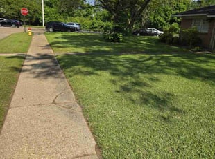 Shirley L.'s turf maintenance service result