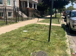 Tom R.'s turf care service result