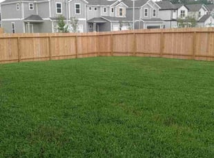 Jamera N.'s grass cutting service result