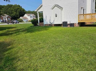 Jean M.'s grass cutting service result