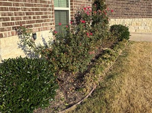 Ken P.'s Flower Bed Weeding service result