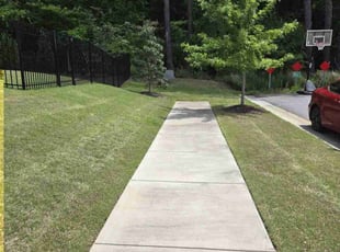 Caroline B.'s turf maintenance service result