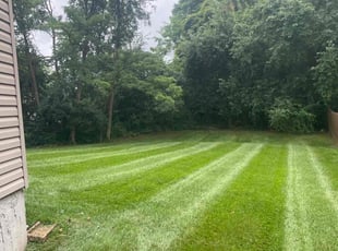 Aaron M.'s turf care service result