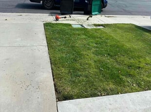 Amanda L.'s turf maintenance service result
