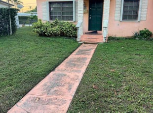 Monica B.'s lawn care service result