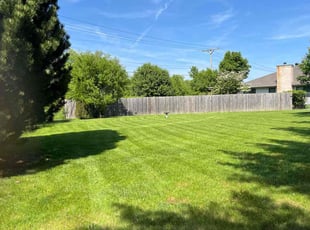 Steven R.'s turf care service result