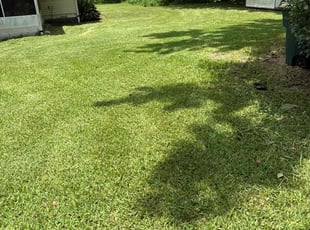 Joanne M.'s lawn maintenance service result