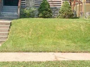 Jamesd F.'s lawn care services service result