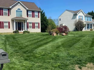 Stephanie R.'s grass cutting service result