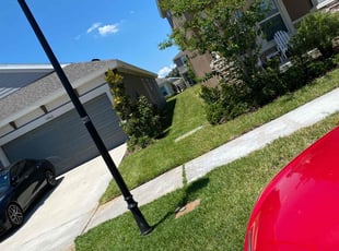 Kelly W.'s grass cutting service result