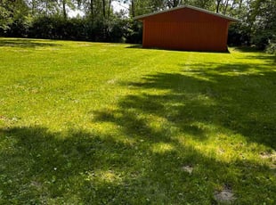 Ann&#039;Elle C.'s grass maintenance service result