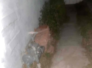 Keith G.'s Bush Trimming service result