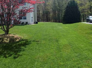 Jenn M.'s grass maintenance service result