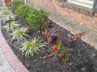 Stephanie B.'s Leaf Removal service result