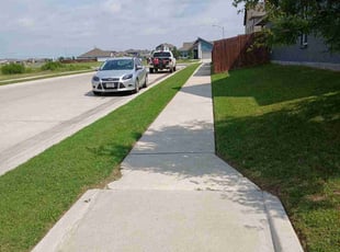 Delphin D.'s lawn care service result