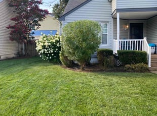 Karen W.'s Bush Trimming service result