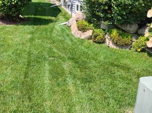 Linda M.'s grass maintenance service result