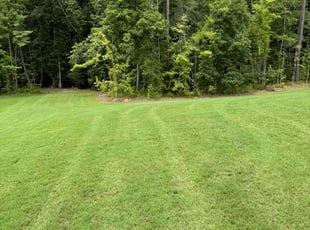 Jasmine R.'s lawn care service result