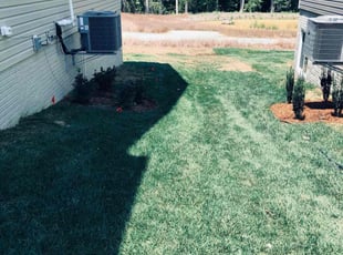 Val M.'s turf care service result