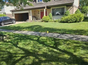 Kevin B.'s lawn maintenance service result