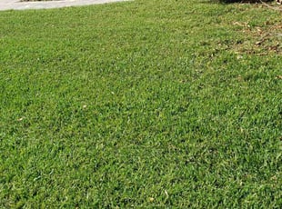 Dallas H.'s lawn maintenance service result
