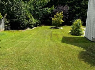 Justin C.'s grass cutting service result