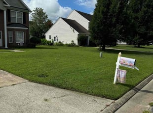 Alita T.'s yard service service result